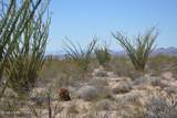 199 Cortaro Rd - Photo 9