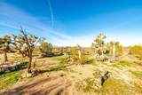 19816 Gold Mine Rd - Photo 76