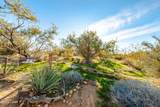 19816 Gold Mine Rd - Photo 77