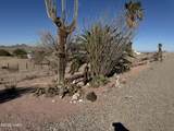 7654 Wagon Wheel Dr - Photo 47