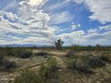 Tbd Wild Bill Rd - Photo 11