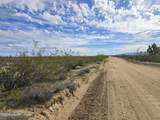 Tbd Wild Bill Rd - Photo 2