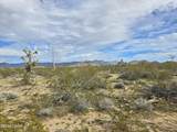 Tbd Wild Bill Rd - Photo 3