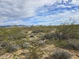 Tbd Wild Bill Rd - Photo 3