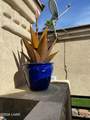 1905 Victoria Farms Rd #332 - Photo 11