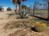 21477 Sundance Kid Rd - Photo 46