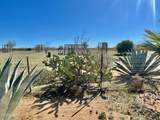 21477 Sundance Kid Rd - Photo 48
