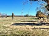 21477 Sundance Kid Rd - Photo 50