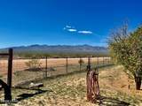 21477 Sundance Kid Rd - Photo 51