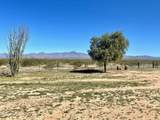 21477 Sundance Kid Rd - Photo 58