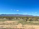 21477 Sundance Kid Rd - Photo 59