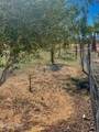 21477 Sundance Kid Rd - Photo 63