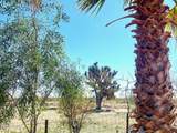 21477 Sundance Kid Rd - Photo 69