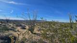 3035 Castle Butte Rd - Photo 35