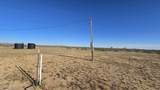 21688 Roy Rogers Rd - Photo 15