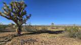 21688 Roy Rogers Rd - Photo 24