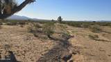 21688 Roy Rogers Rd - Photo 32