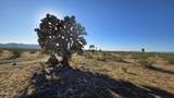 21688 Roy Rogers Rd - Photo 33