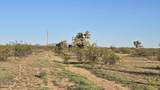 21688 Roy Rogers Rd - Photo 36