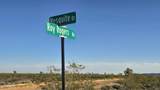 21688 Roy Rogers Rd - Photo 40