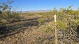 21688 Roy Rogers Rd - Photo 5