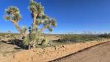 21688 Roy Rogers Rd - Photo 8