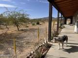 43346 Independence Ln - Photo 4