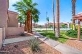1650 Smoketree Ave - Photo 48