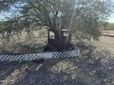 250 Targa Trail Ln - Photo 7