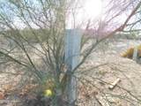 275 Targa Trail Ln - Photo 4