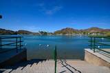37209 Buckskin Cir - Photo 60