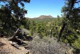 3225 Atherton Dr - Photo 89