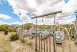 11030 Quarter Horse Rd - Photo 79