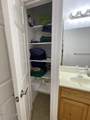 2875 Arabian Dr - Photo 40