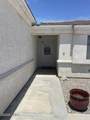 2875 Arabian Dr - Photo 48