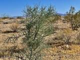 24515159 Lincoln St - Photo 4