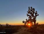 123-08-006 Gene Autry Rd - Photo 15