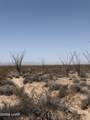 000 Doc Holliday Rd - Photo 8