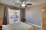2983 Appaloosa Ln - Photo 41