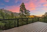 6659 Halmar Dr - Photo 6