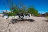 1834 Beavertail Dr - Photo 49