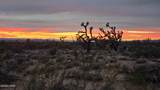 123-30-009 Sundance Kid Rd - Photo 14
