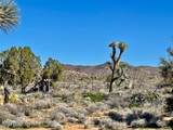 21422 Appaloosa Rd - Photo 42