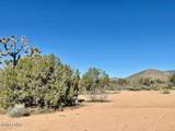 21422 Appaloosa Rd - Photo 47