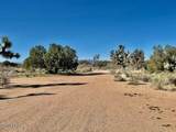 21422 Appaloosa Rd - Photo 48