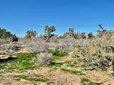21422 Appaloosa Rd - Photo 49