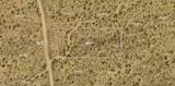 244-09-304 Fox Dr - Photo 10
