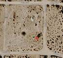 67115 Moodie Ln - Photo 1