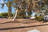 3878 Comet Dr - Photo 54