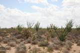 242-05-015 Gene Autry Rd - Photo 16